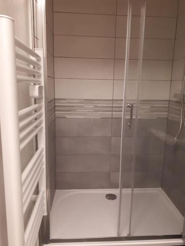 une douche avec une porte vitrée dans une salle de bain dans l'établissement Le 3104 St Lary, à Saint-Lary-Soulan