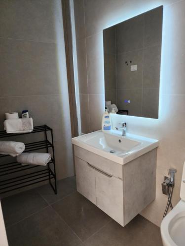 un baño con lavabo y espejo en Apartament Tirana Contact, en Tirana
