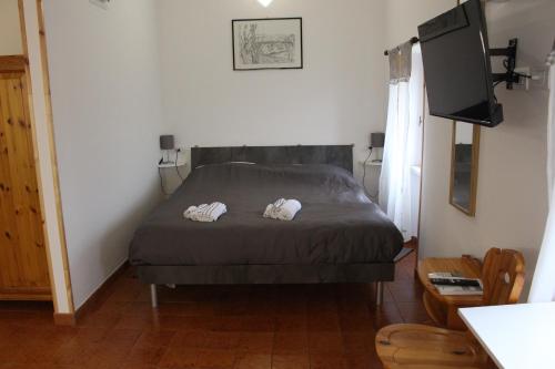 a bedroom with a bed and a flat screen tv at Casa Trevisan in Marco Simone