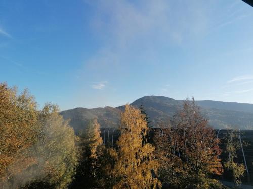 a view of a mountain with trees in the foreground at Willa Na Górce in Szczyrk