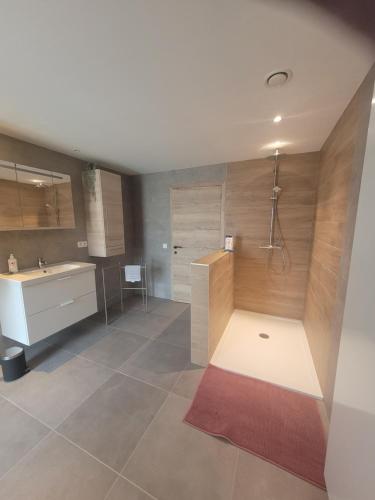 a bathroom with a shower and a sink at La grange aux anneaux in Beaurieux