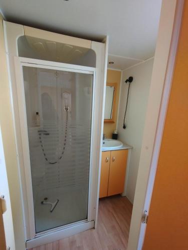 une salle de bain avec une douche avec une porte vitrée dans l'établissement Ongi etorri-cures et vacances, à Cambo-les-Bains