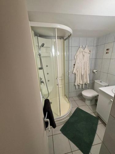 une salle de bain avec douche et toilettes dans l'établissement La Maison Velours, à Boën
