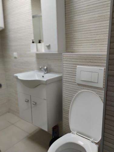 a bathroom with a white toilet and a sink at Twins Apartment in Strumica