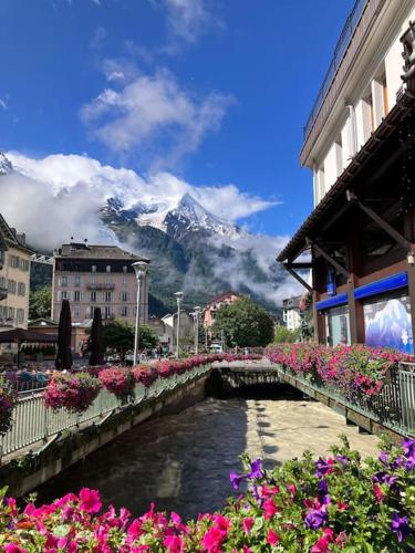 Magnifique Appartement au Centre de Chamonix