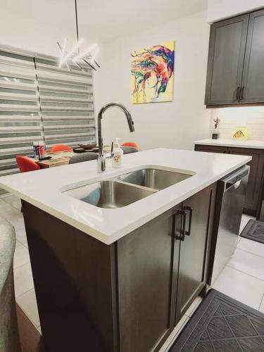 a kitchen with a sink and a counter top at Majestic Elegance-15 mins-Niagara Falls & 10 mins-Brock University in Thorold