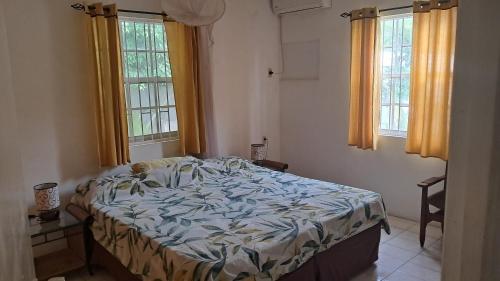a bed in a bedroom with two windows at Happy Turtle Apartments in Willemstad