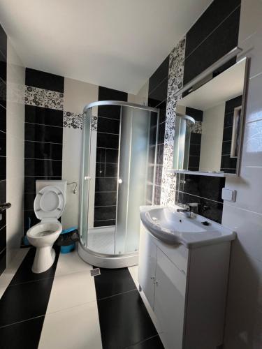 a bathroom with a toilet and a shower and a sink at Casa Soporan in Cluj-Napoca