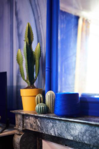a shelf with a cactus and a potted plant on it at Manoir la grande guerais in Beaussais sur Mer