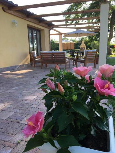 a patio with pink flowers and an umbrella at Podere Gabry in Arena Metato