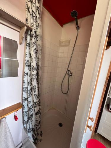 La salle de bains est pourvue d'une douche avec rideau de douche. dans l'établissement Petit nid ensoleillé, à Rouen