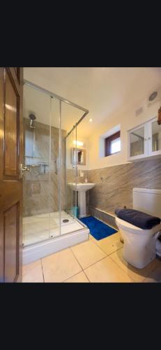 a bathroom with a shower and a toilet at Tarnside Cottages in Brampton