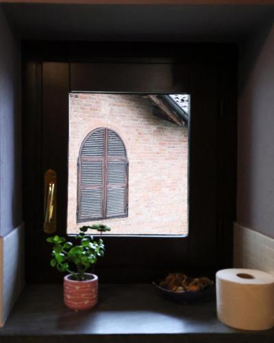 a window in a room with a plant on a shelf at Casa vacanze Re Cit Diano d'Alba in Diano dʼAlba