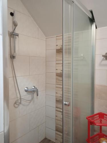 a shower with a glass door in a bathroom at Magdaléna Vendégház in Aba