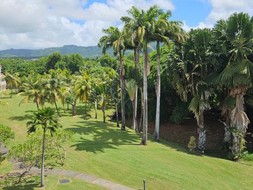 an aerial view of a park with palm trees at TI OASIS Margarita Studio piscine et plage à P&Vac Village-Club in Bellevue