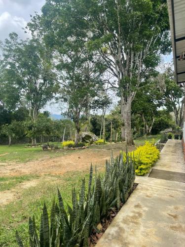 a walkway leading to a garden with plants at Casa Rural Villa Milú in Guaduas