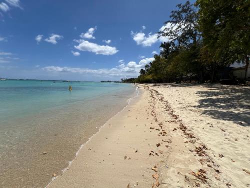 a sandy beach with trees and the ocean at Seascape Modern Accomodation Near CLUB MED ALBION in Albion