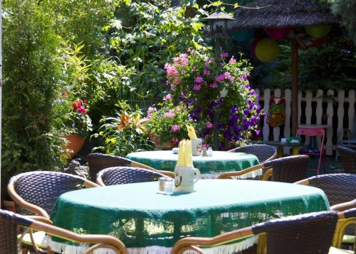 Zahrada ubytování Hotel Zur Kutsche