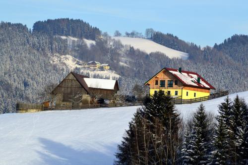 FrantschachにあるAlmferienhaus Russmannの雪山の一群