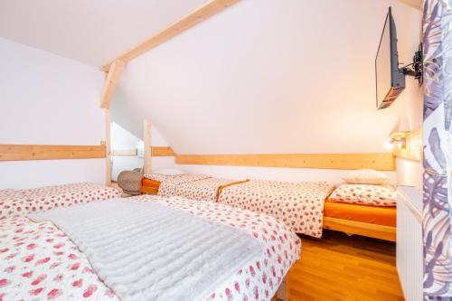 a bedroom with two beds and a tv on the wall at Apartmány Iwona in Rokytnice nad Jizerou