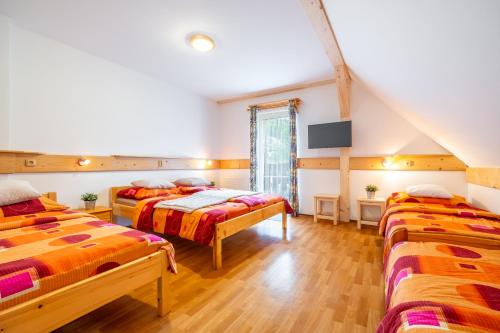 a bedroom with three beds and a tv at Apartmány Iwona in Rokytnice nad Jizerou