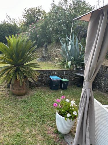 Κήπος έξω από το Case Vacanze Giovanni Garibaldi