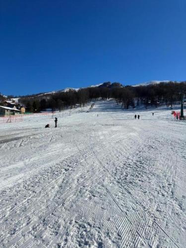 Gallery image of Bakuriani in Bakuriani
