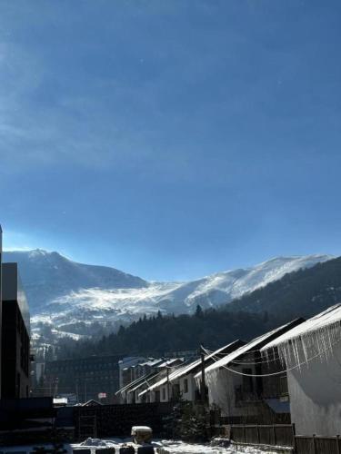 Gallery image of Bakuriani in Bakuriani