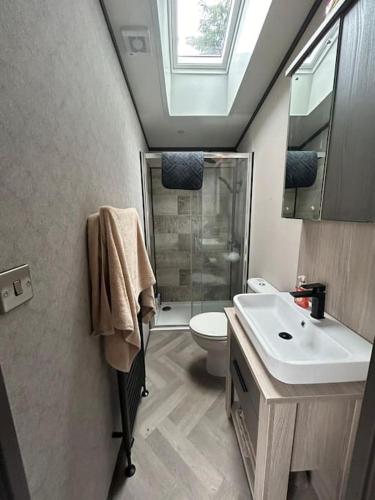 a bathroom with a sink and a toilet and a skylight at Corrie Fee Lodge in Boat of Garten