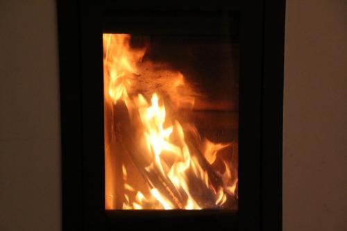 un fuoco ravvicinato in un camino di Seebrise Baabe a Baabe
