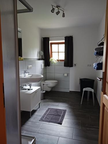 a bathroom with a sink and a toilet at Ferienwohnung Bauer Katrin und Florian in Prien am Chiemsee
