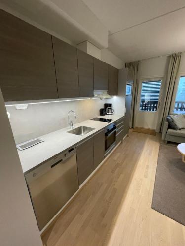 Η κουζίνα ή μικρή κουζίνα στο Free slalomski ticket, RukaStara Ski-in Ski-out, centrum location