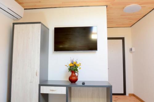 TV a/nebo společenská místnost v ubytování Артур