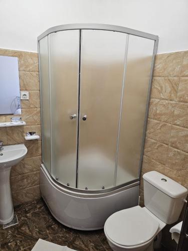 a shower with a toilet and a sink in a bathroom at Casa Dragoste in Someşu Cald