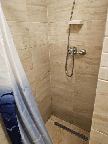 a shower stall with a shower curtain in a bathroom at Casa Nico in Someşu Cald