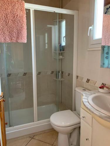 une salle de bain avec une douche, des toilettes et un lavabo dans l'établissement Maison champêtre avec vue sur un étang, à La Bussière