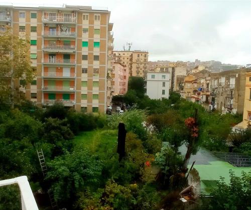 La casa di Zaga