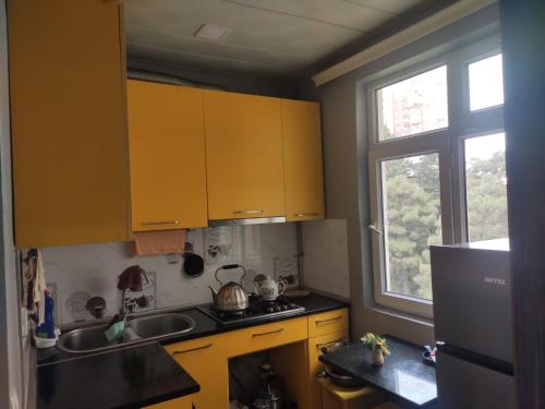 Кухня або міні-кухня у Apartment