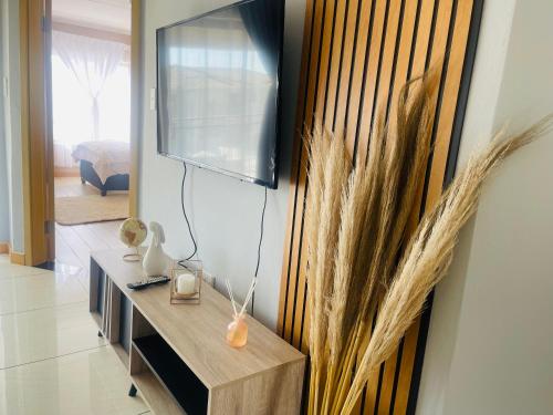 TV a/nebo společenská místnost v ubytování 12th La Maison