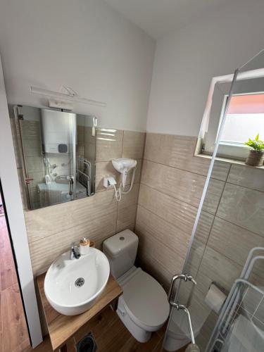 a bathroom with a white toilet and a sink at Hestia Suite in Zaječar