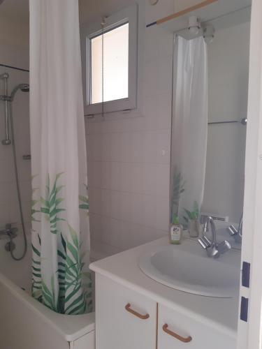 une salle de bain avec un lavabo et un rideau de douche dans l'établissement Horizon Marmotte, à Bagnères-de-Bigorre