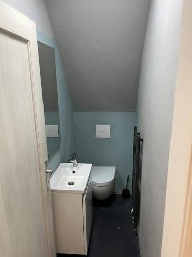 a small bathroom with a toilet and a sink at Charmante, helle Wohnung mit Garten nahe Legoland in Nersingen
