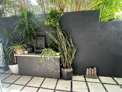 a garden with potted plants and a black wall at Boomerang 2 in Sydney