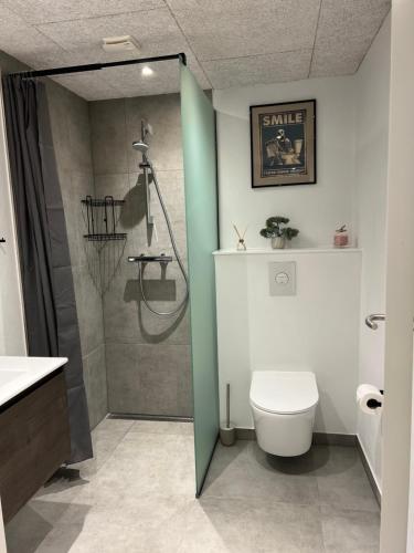 a bathroom with a shower stall and a toilet at Hygge Green Retreat Billund in Grønbjerg