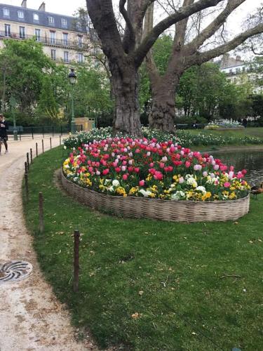 un cercle de fleurs dans un parc avec un arbre dans l'établissement Charmant studio confortable dans la plus belle capitale, à Paris