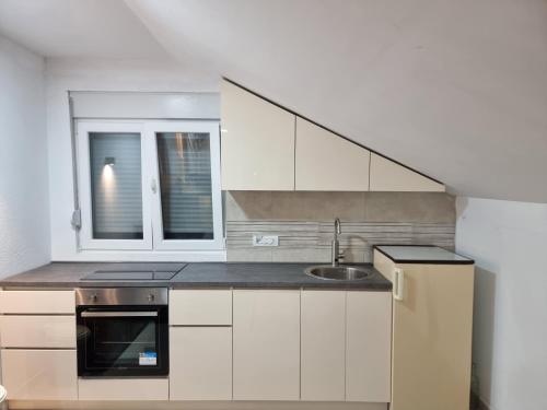 Köök või kööginurk majutusasutuses Apartman Kolašin