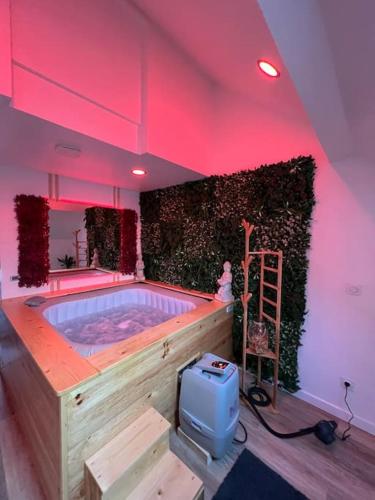 d'un bain à remous dans une chambre avec éclairage rose dans l'établissement Love room jacuzzi proche centre ville, à Amiens