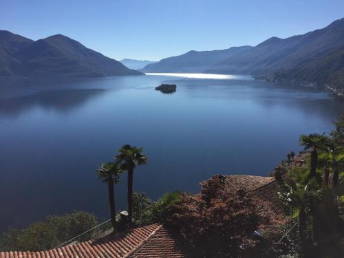 a view of a lake with palm trees and mountains at Apartment Irene - Casa Centro in Ascona