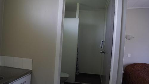 a small bathroom with a shower and a toilet at Apple Motor Inn in Hastings