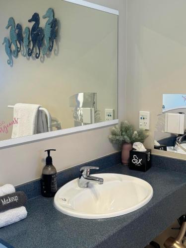 a bathroom counter with a sink and a mirror at Centre Court Motel in Blenheim